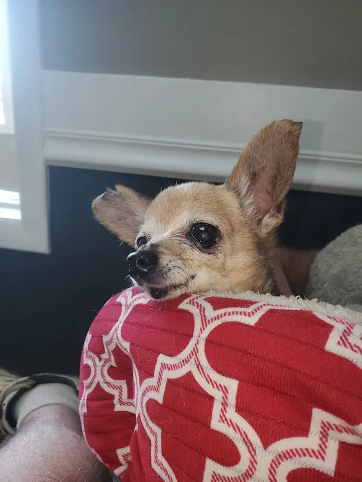 Carthage Animal Hospital Picture 7