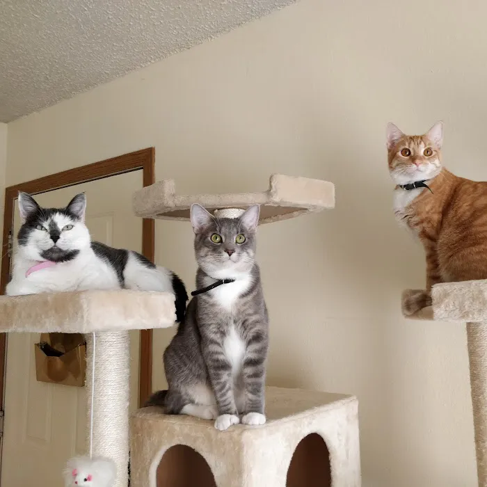 Carthage Animal Hospital Picture 8