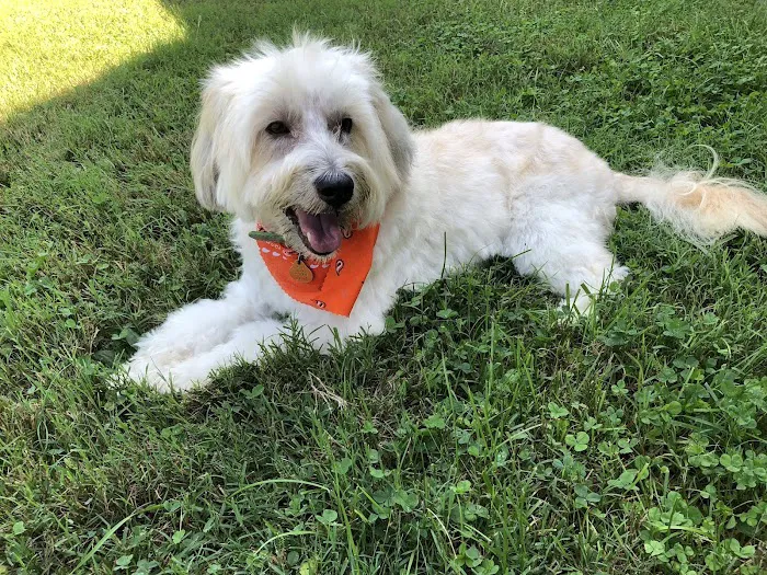 Smith Pet Care Picture 1