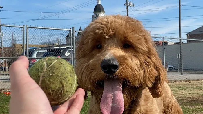 Smith Pet Care Picture 3