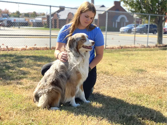 Smith Pet Care Picture 9