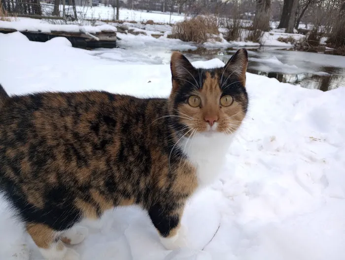 Pawsitive Care Vet Clinic Picture 3