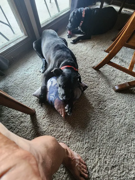 Pinnacle Veterinary Clinic Picture 6