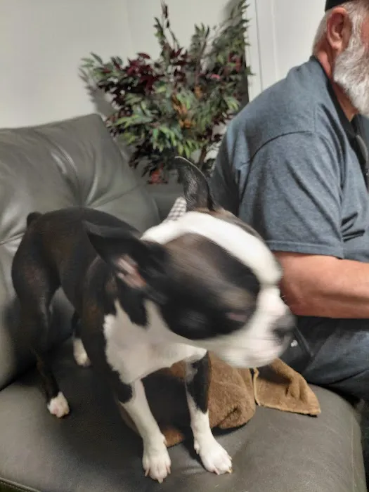 Pinnacle Veterinary Clinic Picture 4