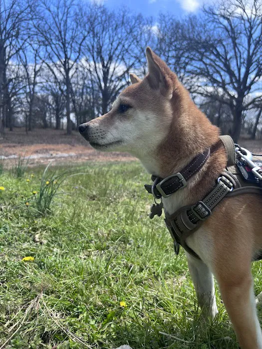 Pinnacle Veterinary Clinic Picture 2