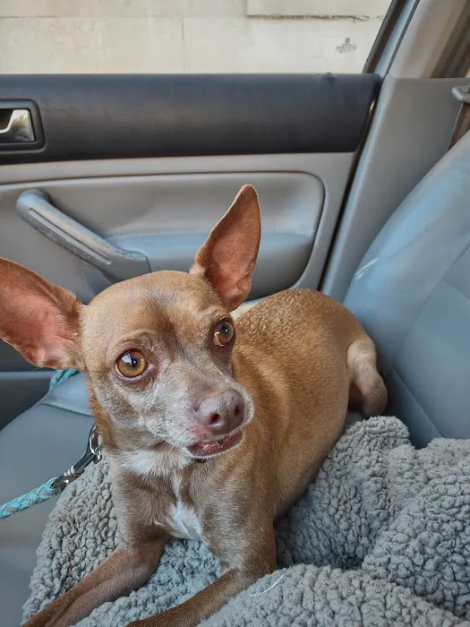 Pinnacle Veterinary Clinic Picture 5