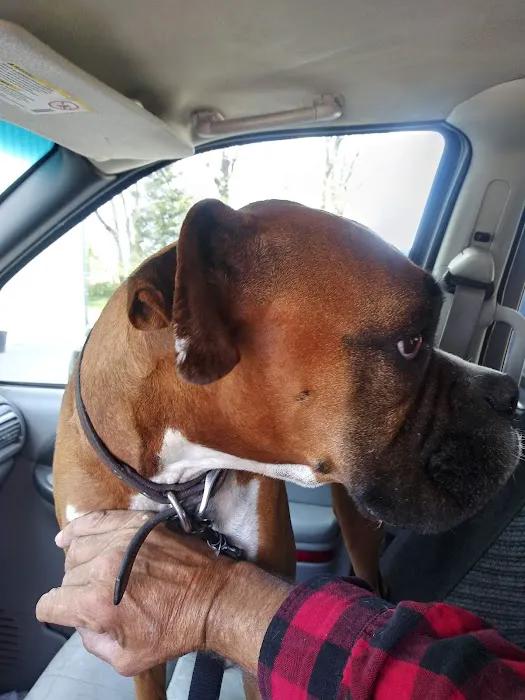 Pinnacle Veterinary Clinic Picture 9