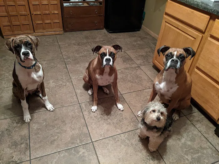 Pinnacle Veterinary Clinic Picture 7