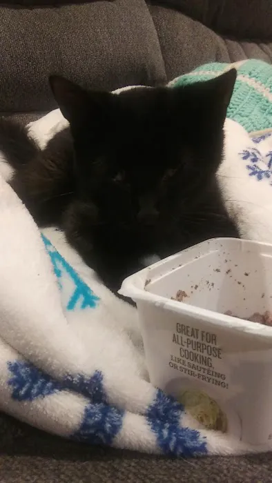 Animal Hospital Picture 3