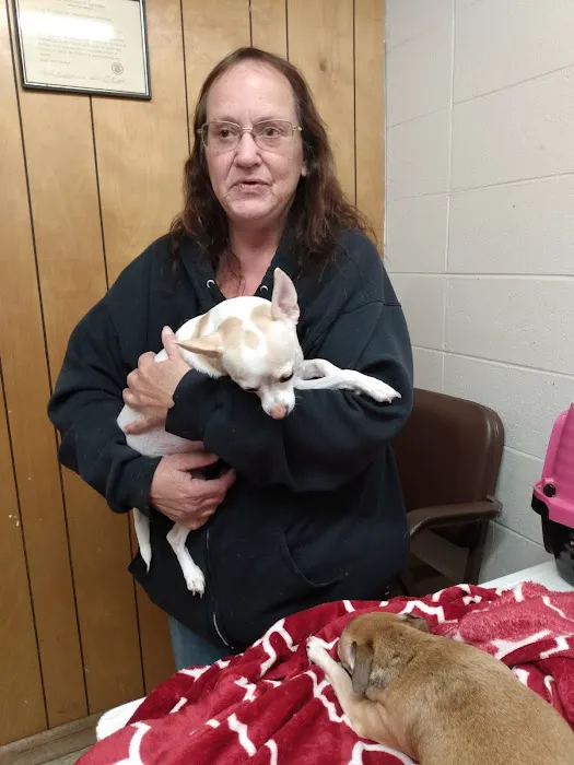 Animal Hospital Picture 1