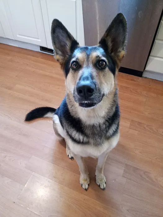 Animal Hospital Picture 2