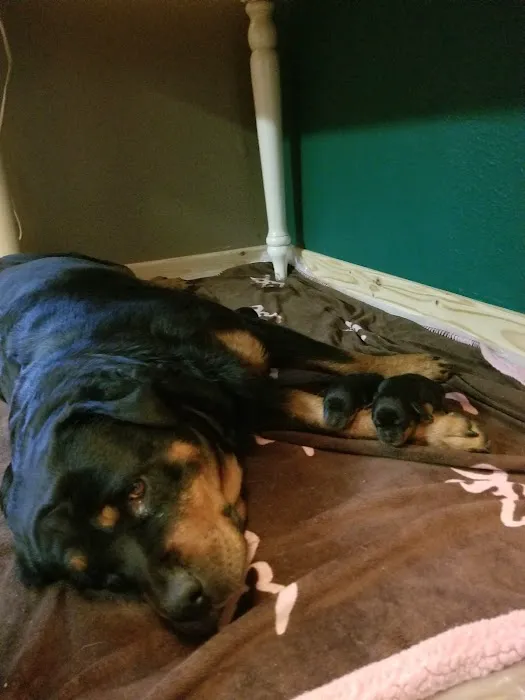 Animal Hospital Picture 6