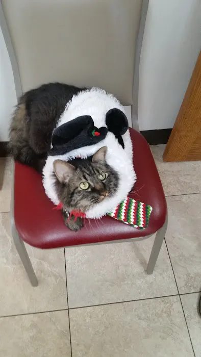 Pet Clinic of Neosho Picture 6