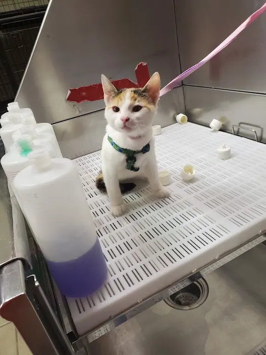 Pet Clinic of Neosho Picture 8