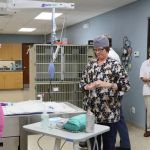 Cornerstone Animal Hospital