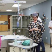 Cornerstone Animal Hospital ico