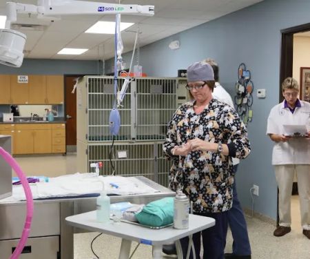 Cornerstone Animal Hospital