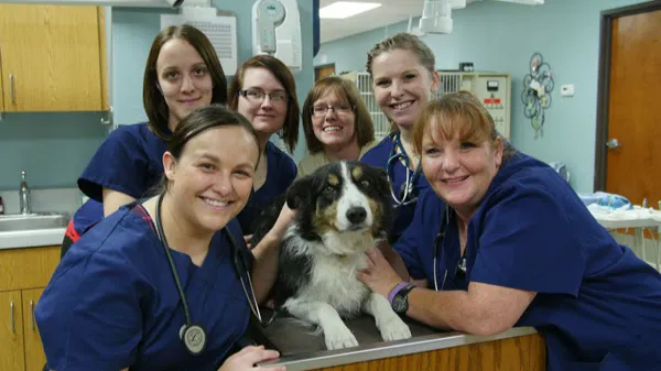 Cornerstone Animal Hospital Picture 8