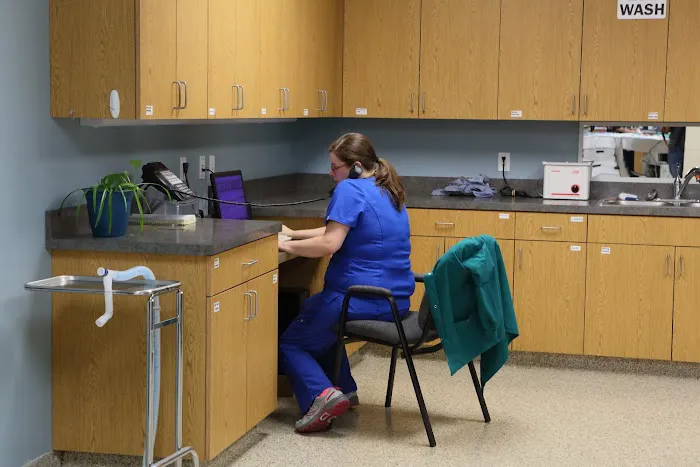 Cornerstone Animal Hospital Picture 6