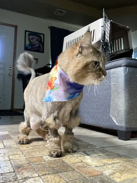 Paws Veterinary Clinic & Grooming Spa Picture 1