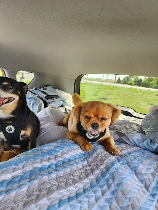 Animal Clinic Of The 4 States Picture 3