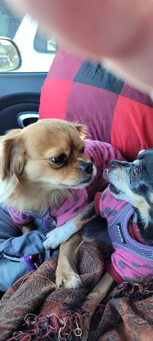 Animal Clinic Of The 4 States Picture 2