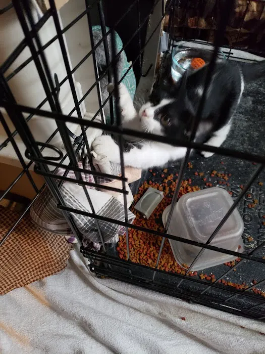 Animal Clinic Of The 4 States Picture 1