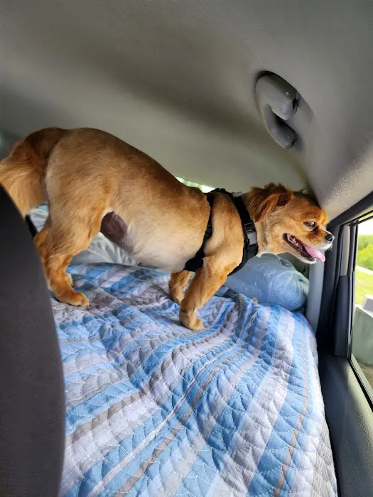 Animal Clinic Of The 4 States Picture 7