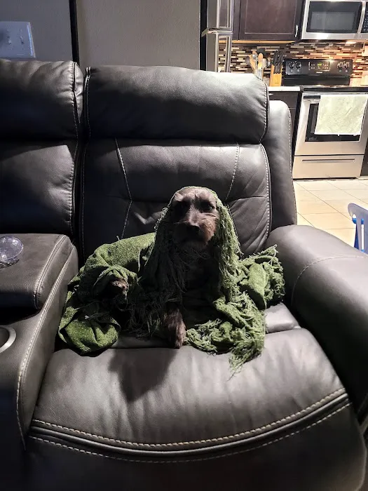 Mutt Medics Picture 3