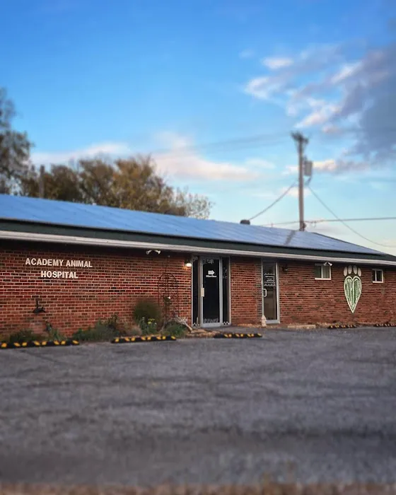 Academy Animal Hospital Picture 8