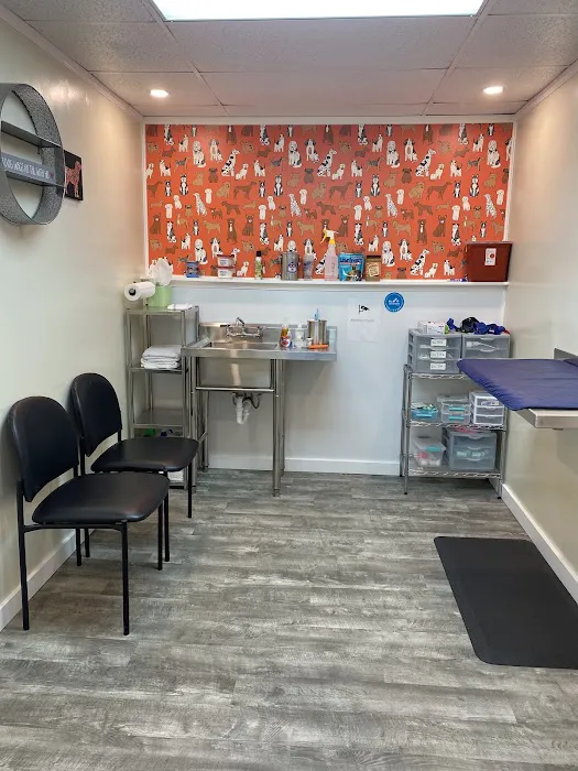 Academy Animal Hospital Picture 7