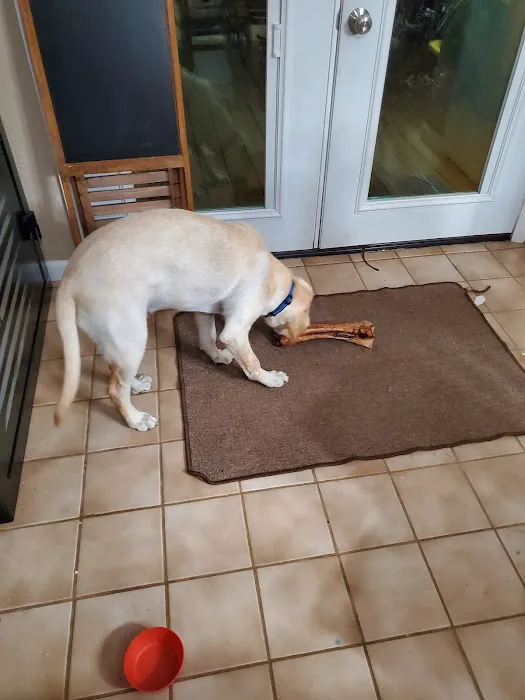 Madison Pet Clinic: Stiens Julia A DVM Picture 1