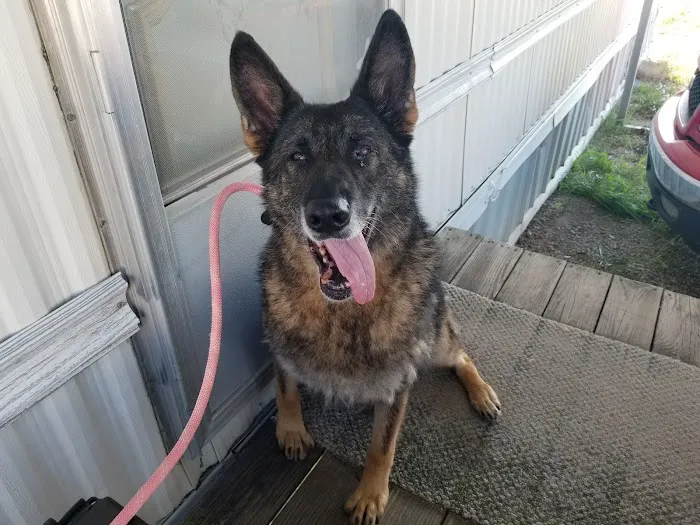 Madison Pet Clinic Picture 5