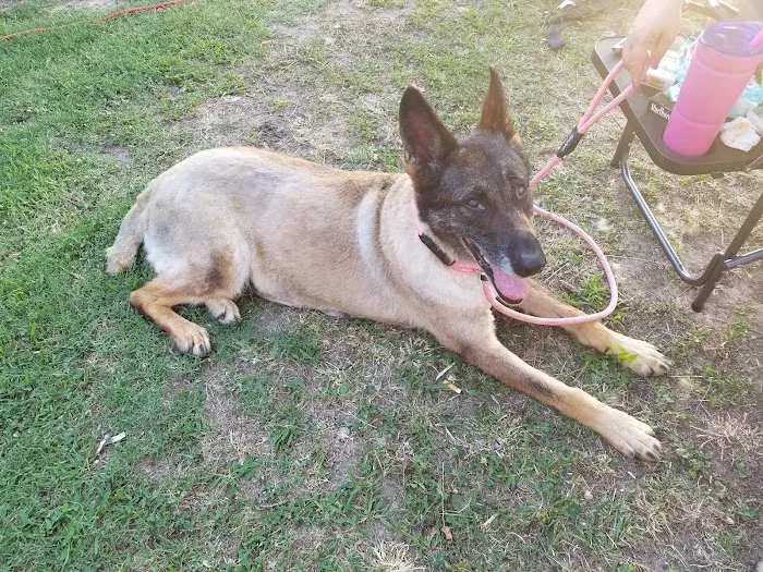 Madison Pet Clinic Picture 4