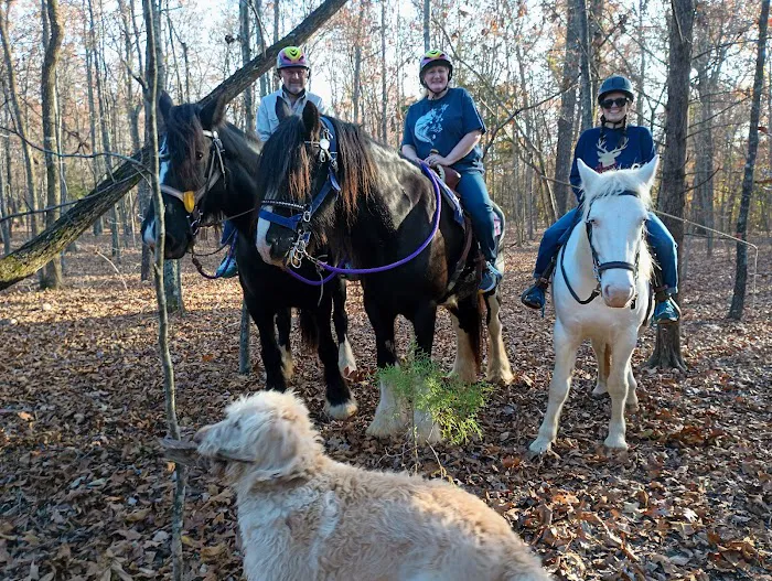 Langley Animal Clinic Picture 1
