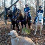 Langley Animal Clinic