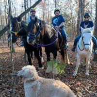 Langley Animal Clinic ico