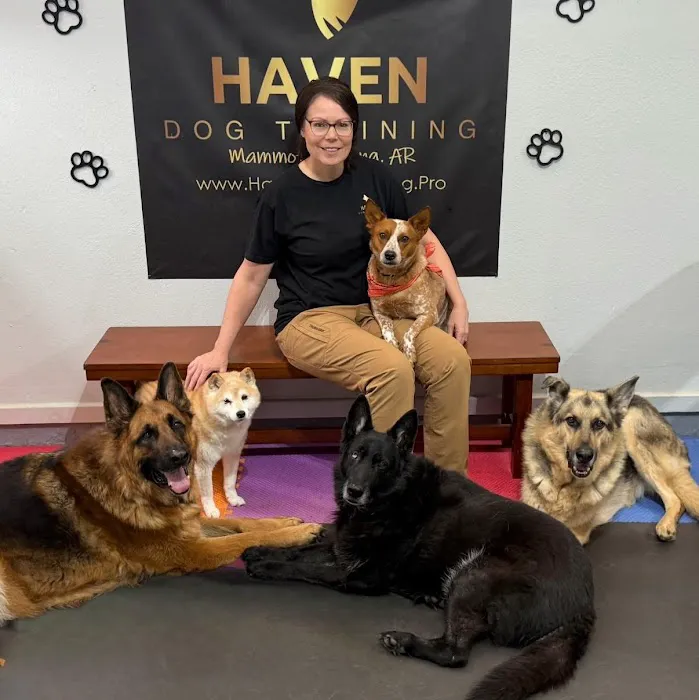 Langley Animal Clinic Picture 7