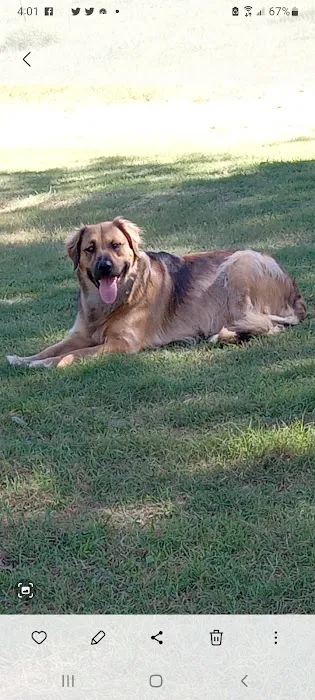 Langley Animal Clinic Picture 6