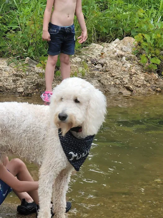 Langley Animal Clinic Picture 4