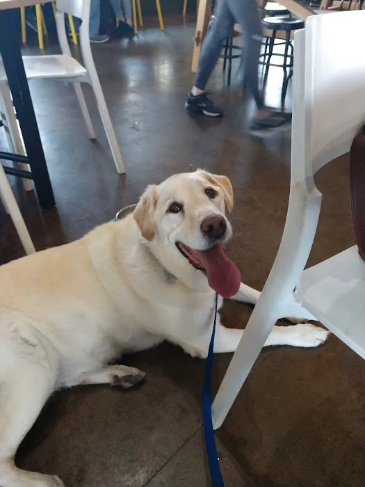 West Cherry Animal Hospital Picture 2