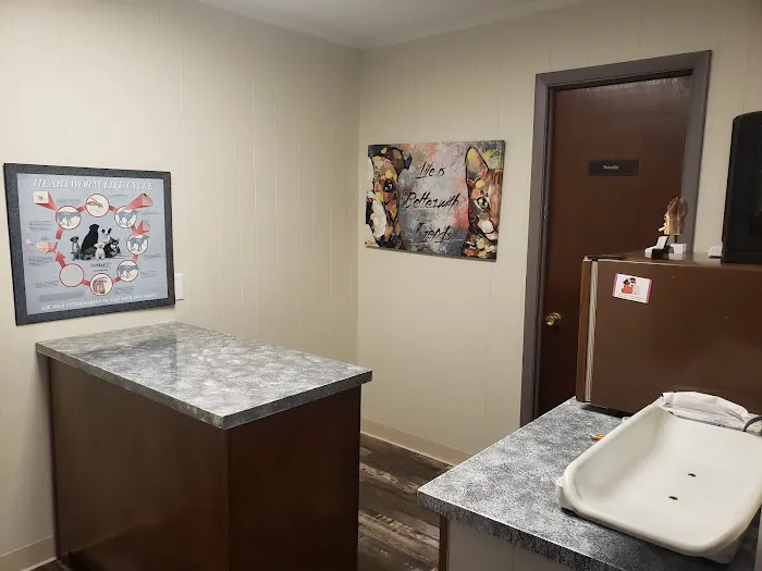 West Cherry Animal Hospital Picture 5