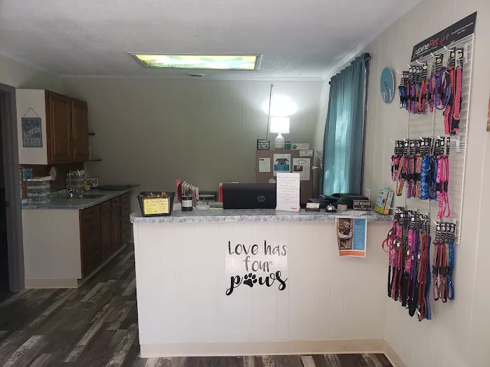 West Cherry Animal Hospital Picture 8