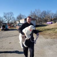 Country Care Clinic ico