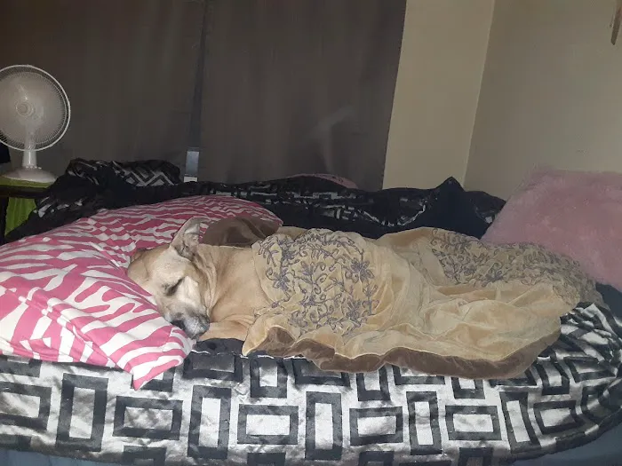 Country Care Clinic Picture 3