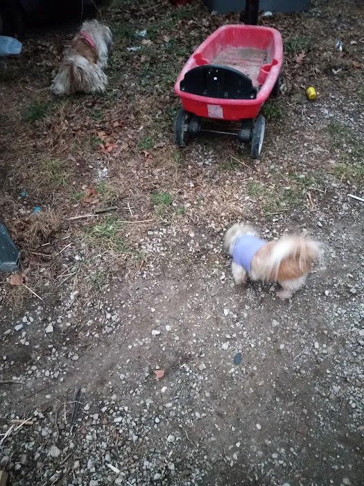 Country Care Clinic Picture 2