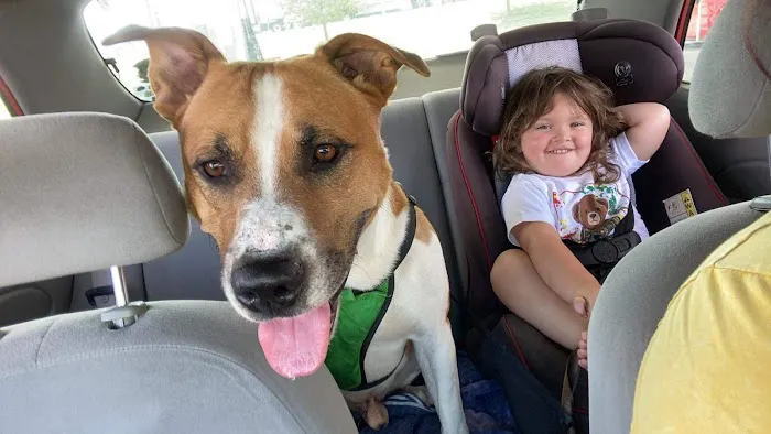 Country Care Clinic Picture 5