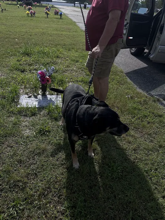 Country Care Clinic Picture 4