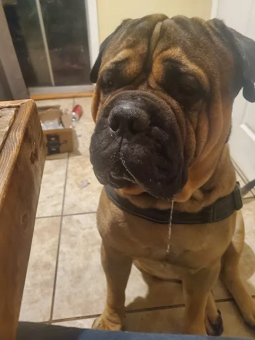 Country Care Clinic Picture 8