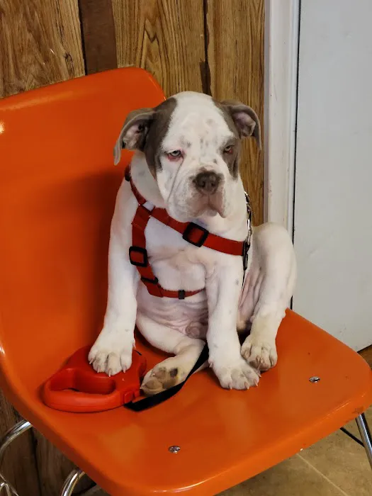 Country Care Clinic Picture 9